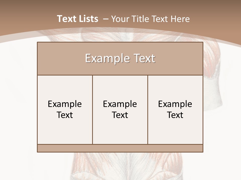 Illustration Anatomy Medical PowerPoint Template