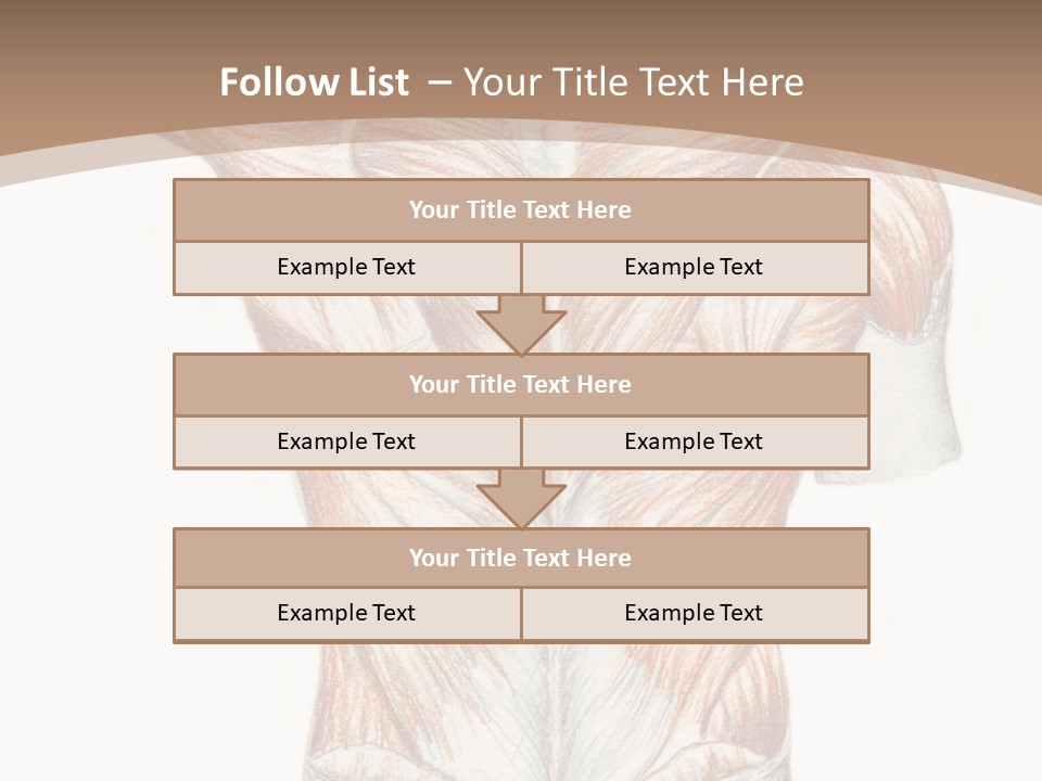 Illustration Anatomy Medical PowerPoint Template