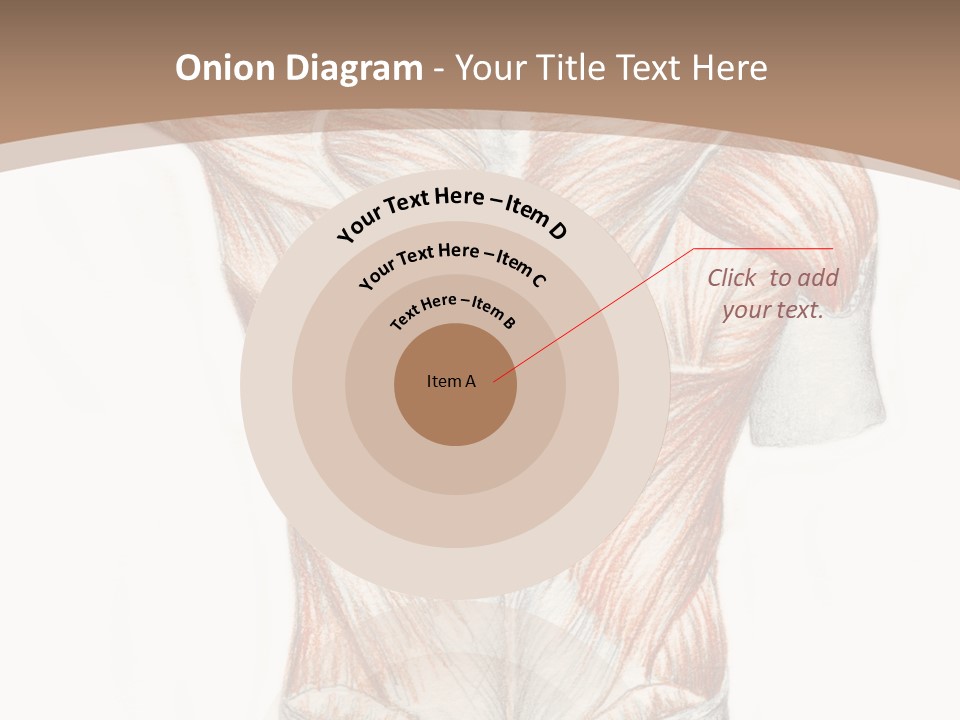 Illustration Anatomy Medical PowerPoint Template