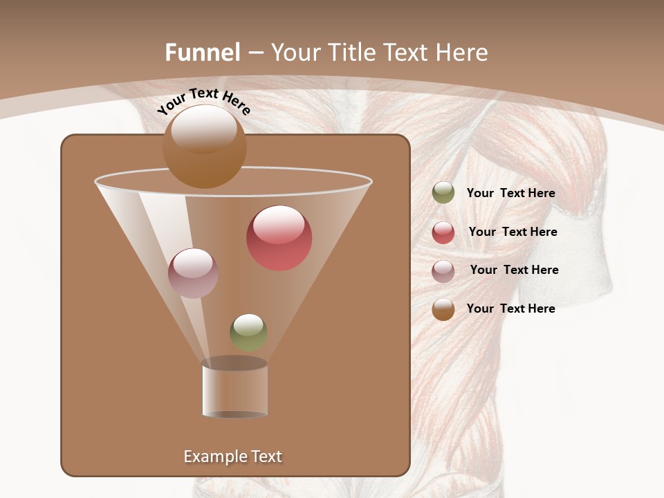 Illustration Anatomy Medical PowerPoint Template