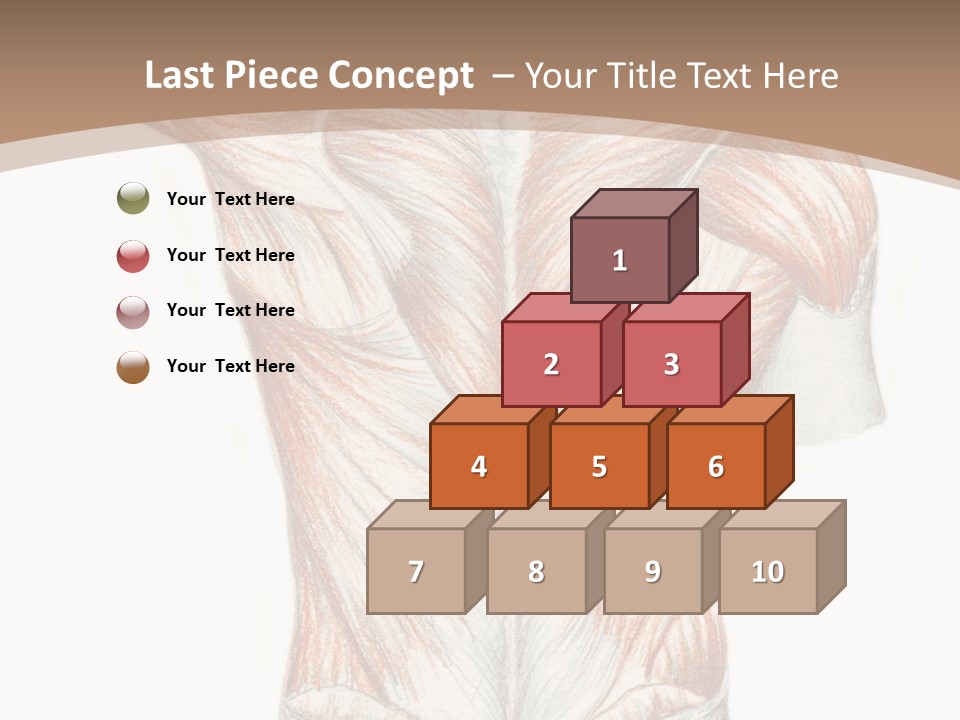 Illustration Anatomy Medical PowerPoint Template