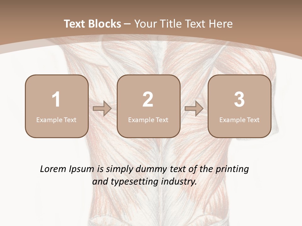 Illustration Anatomy Medical PowerPoint Template