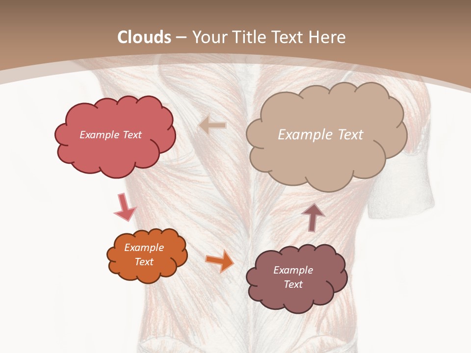 Illustration Anatomy Medical PowerPoint Template