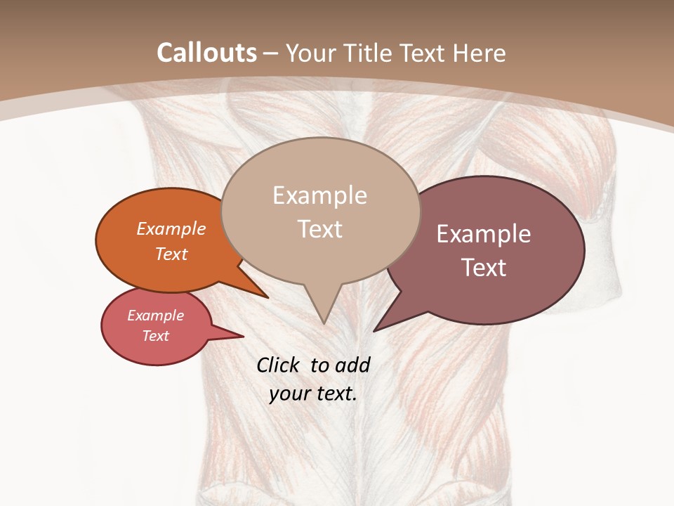 Illustration Anatomy Medical PowerPoint Template