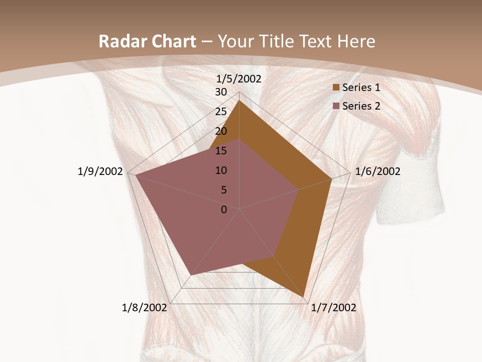 Illustration Anatomy Medical PowerPoint Template