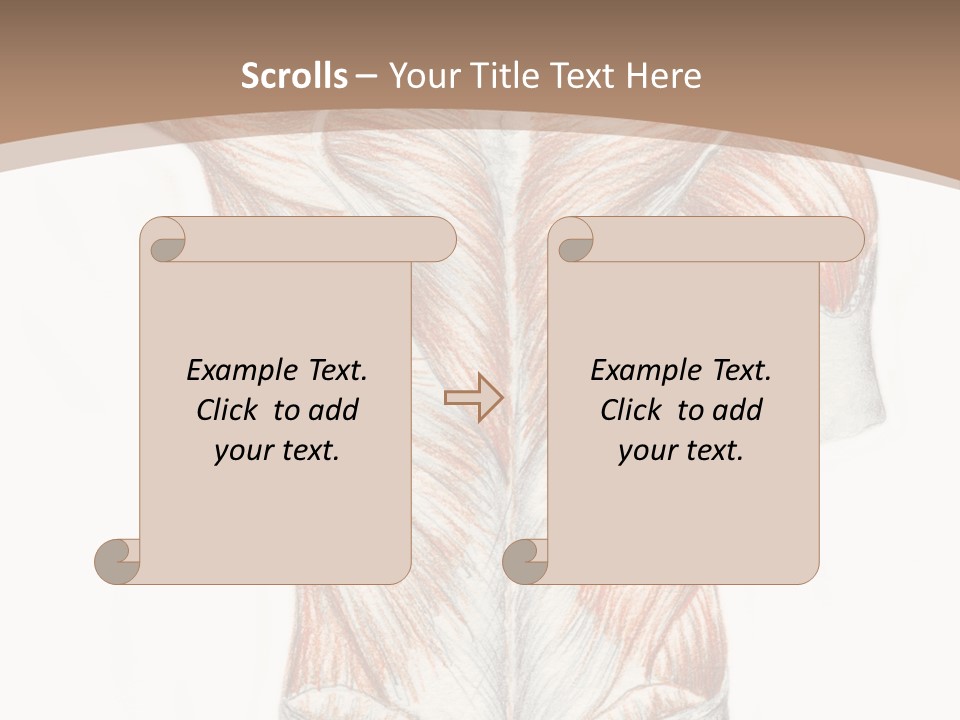 Illustration Anatomy Medical PowerPoint Template