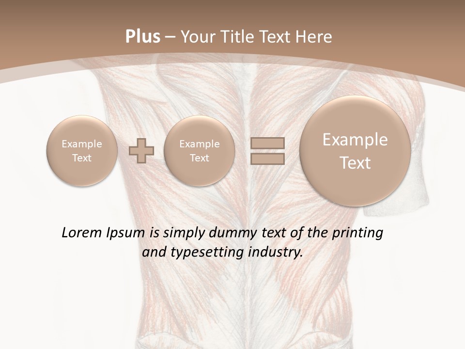 Illustration Anatomy Medical PowerPoint Template
