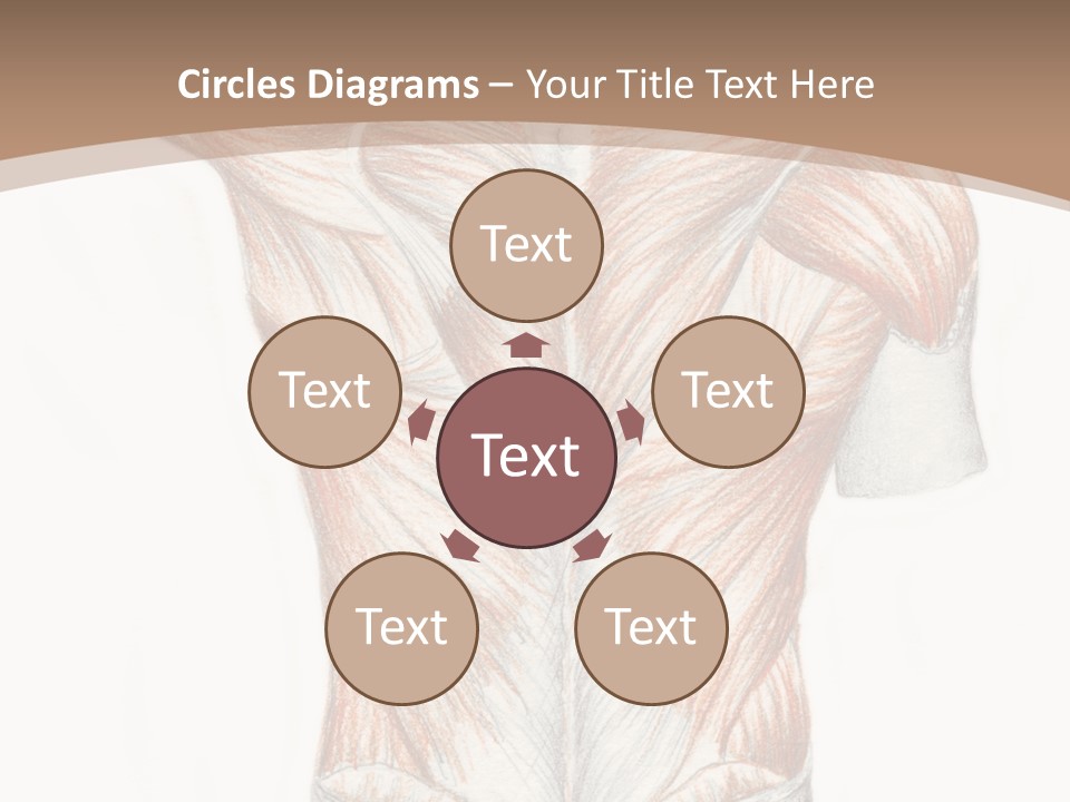 Illustration Anatomy Medical PowerPoint Template