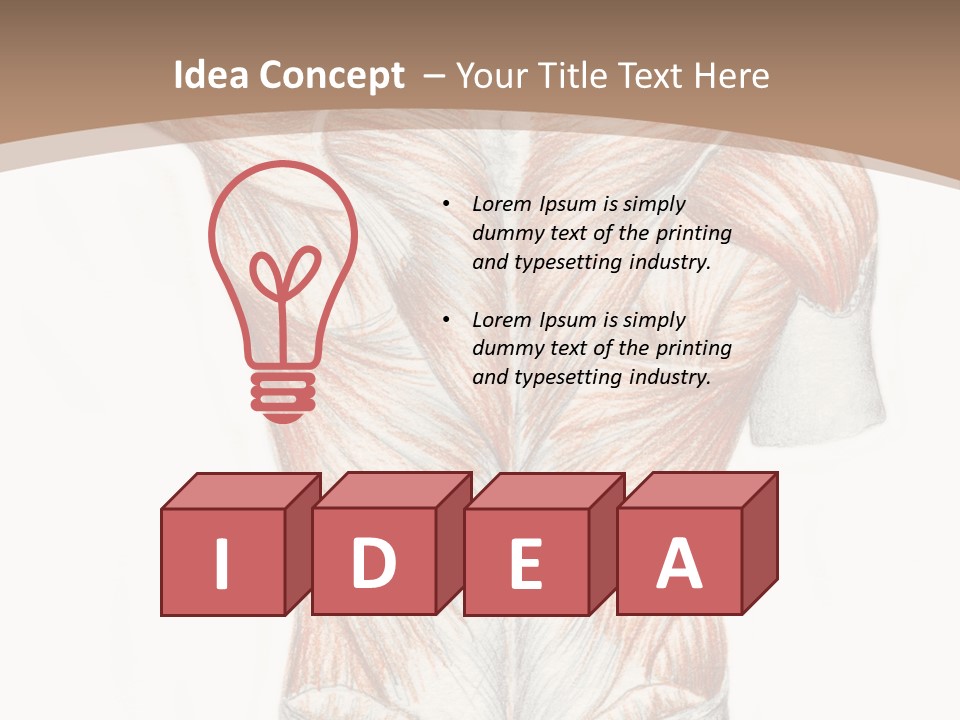 Illustration Anatomy Medical PowerPoint Template