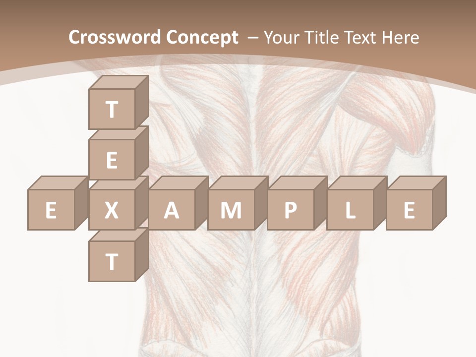 Illustration Anatomy Medical PowerPoint Template