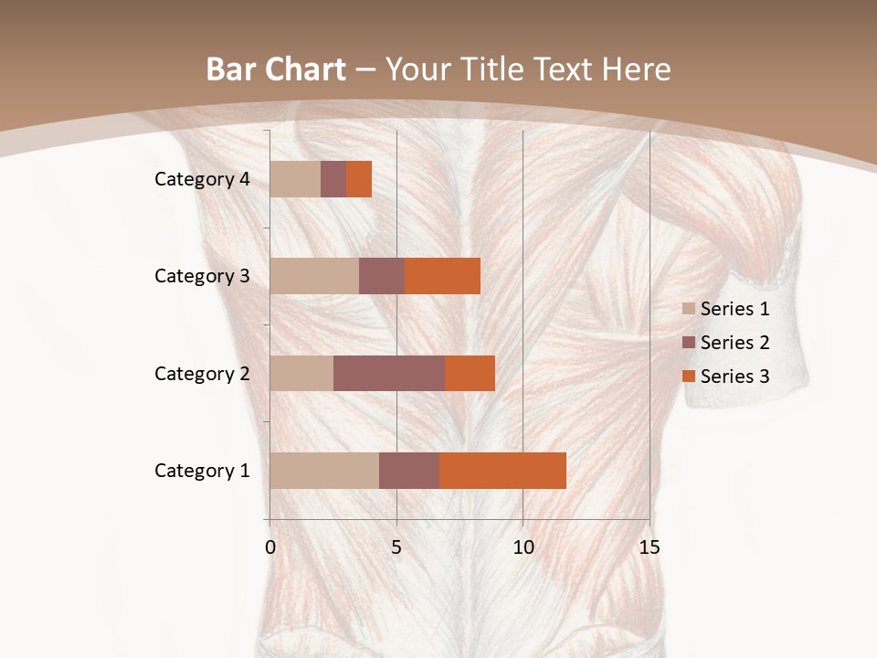 Illustration Anatomy Medical PowerPoint Template