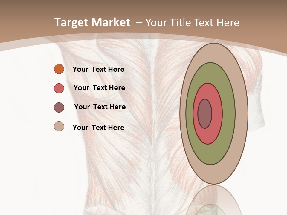Illustration Anatomy Medical PowerPoint Template