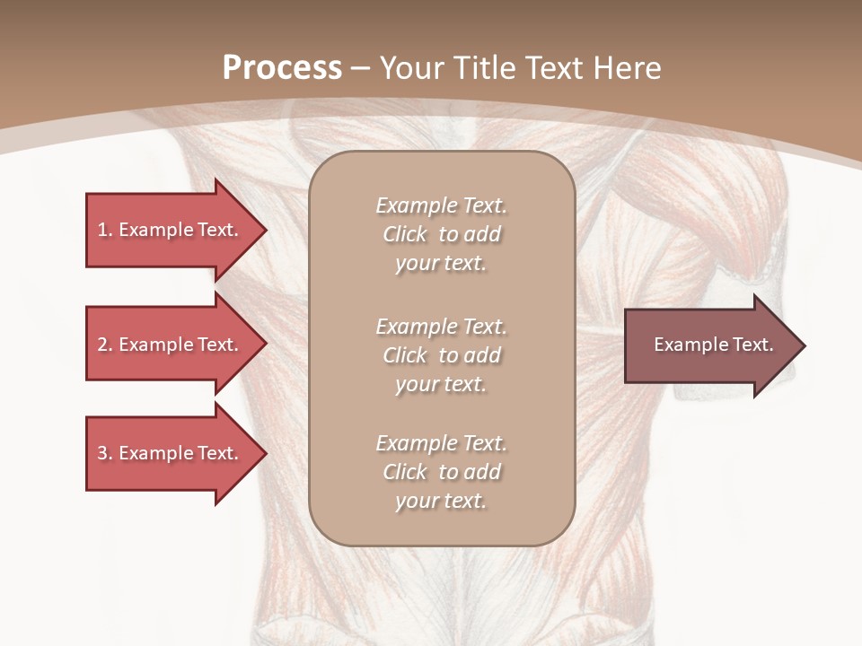Illustration Anatomy Medical PowerPoint Template