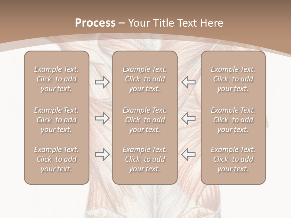 Illustration Anatomy Medical PowerPoint Template