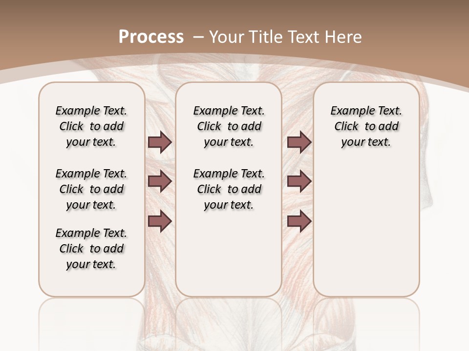 Illustration Anatomy Medical PowerPoint Template