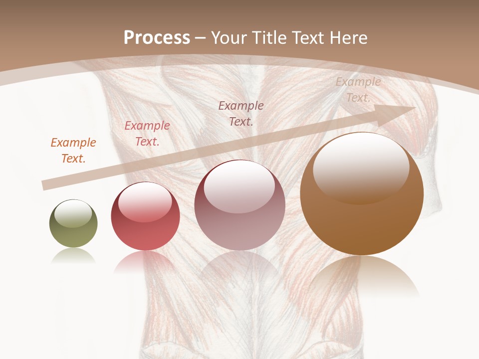 Illustration Anatomy Medical PowerPoint Template