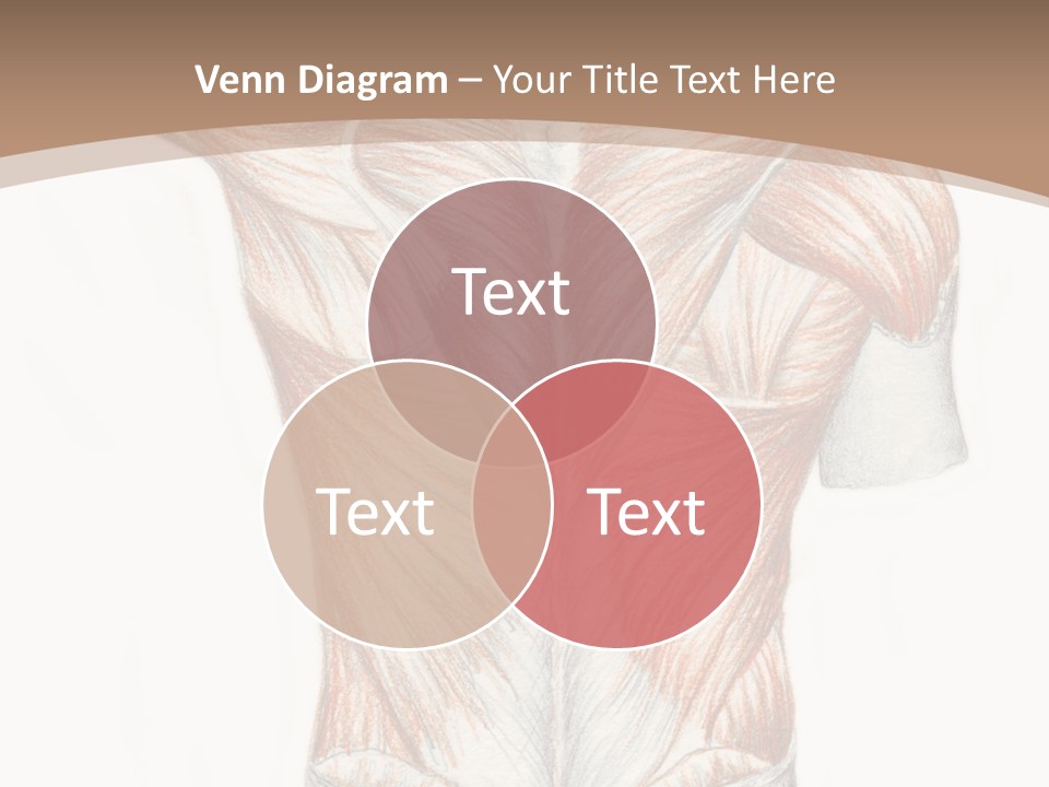 Illustration Anatomy Medical PowerPoint Template