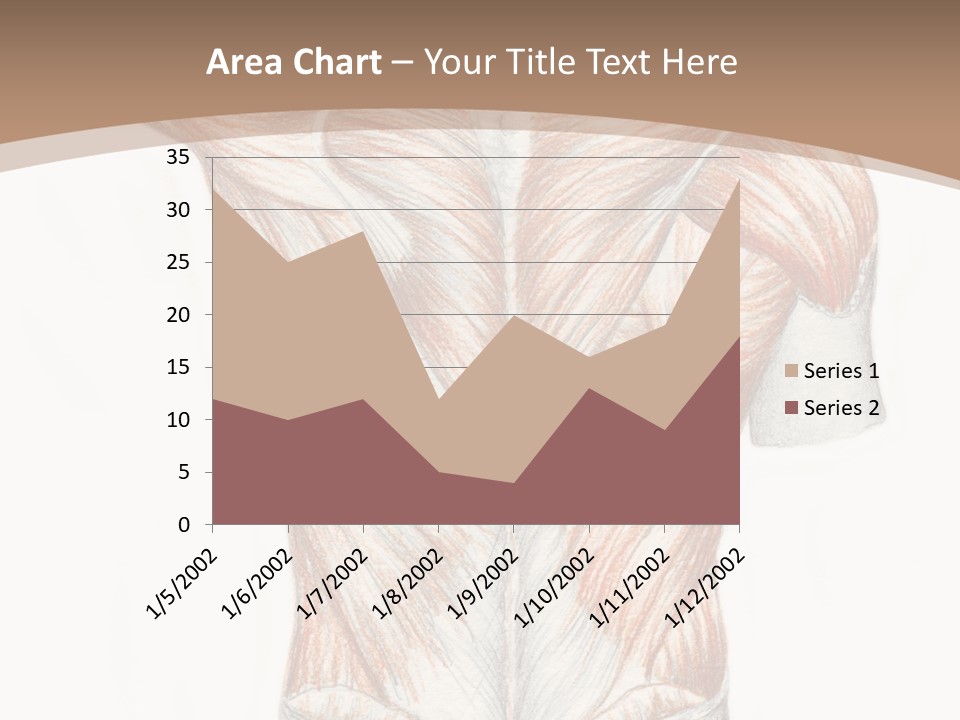 Illustration Anatomy Medical PowerPoint Template
