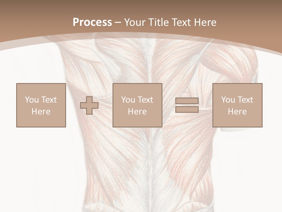 Illustration Anatomy Medical PowerPoint Template
