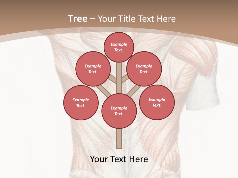 Illustration Anatomy Medical PowerPoint Template