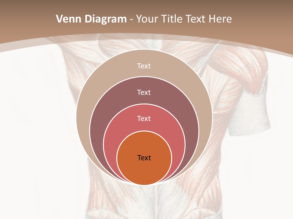 Illustration Anatomy Medical PowerPoint Template