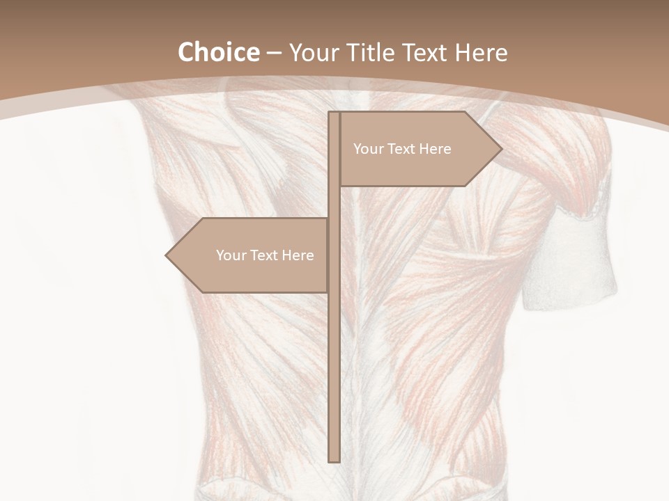 Illustration Anatomy Medical PowerPoint Template