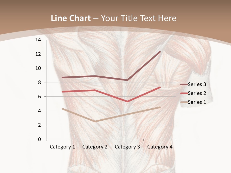 Illustration Anatomy Medical PowerPoint Template