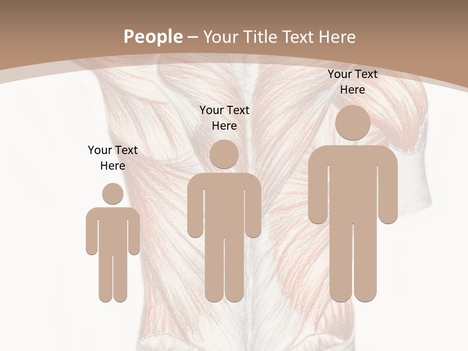 Illustration Anatomy Medical PowerPoint Template