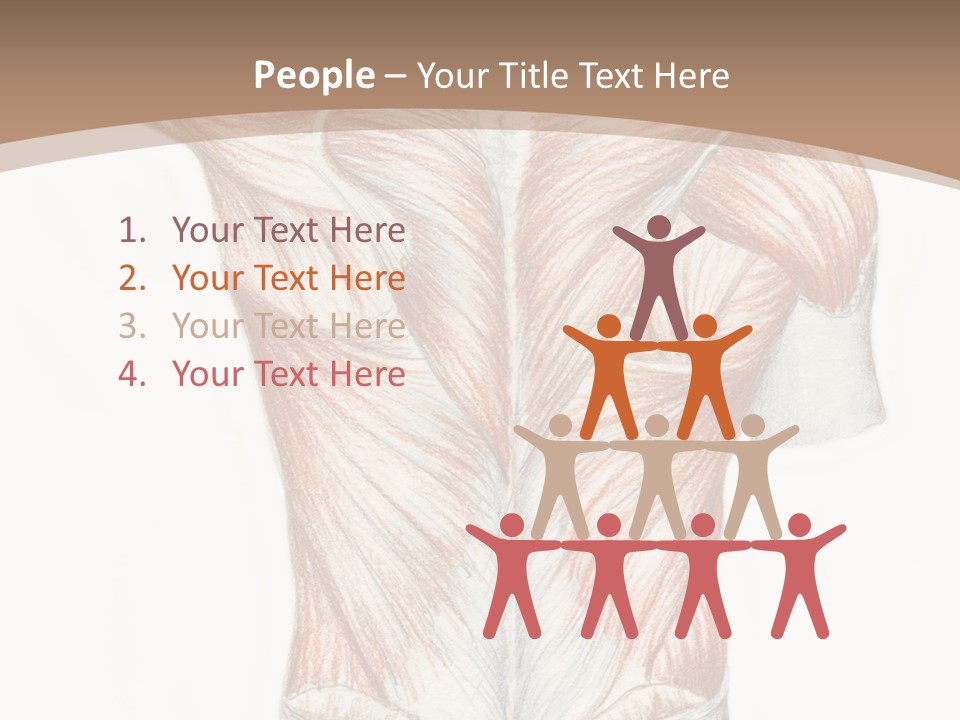 Illustration Anatomy Medical PowerPoint Template