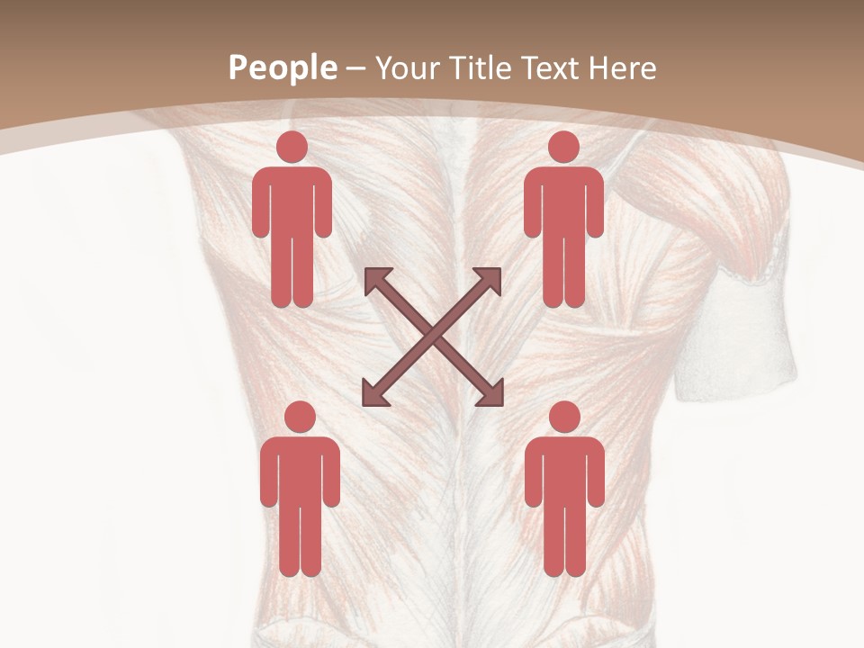 Illustration Anatomy Medical PowerPoint Template