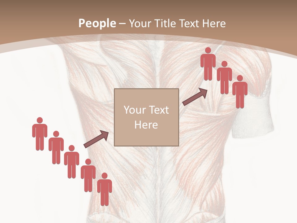 Illustration Anatomy Medical PowerPoint Template