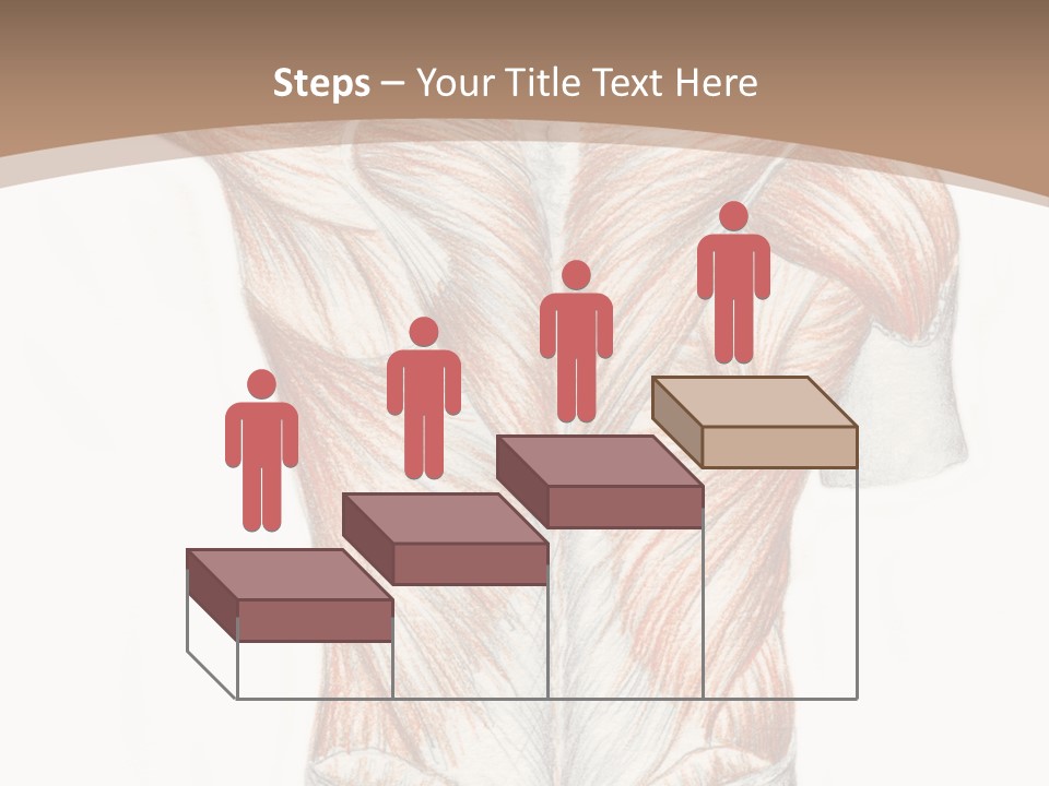 Illustration Anatomy Medical PowerPoint Template