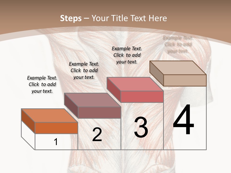 Illustration Anatomy Medical PowerPoint Template