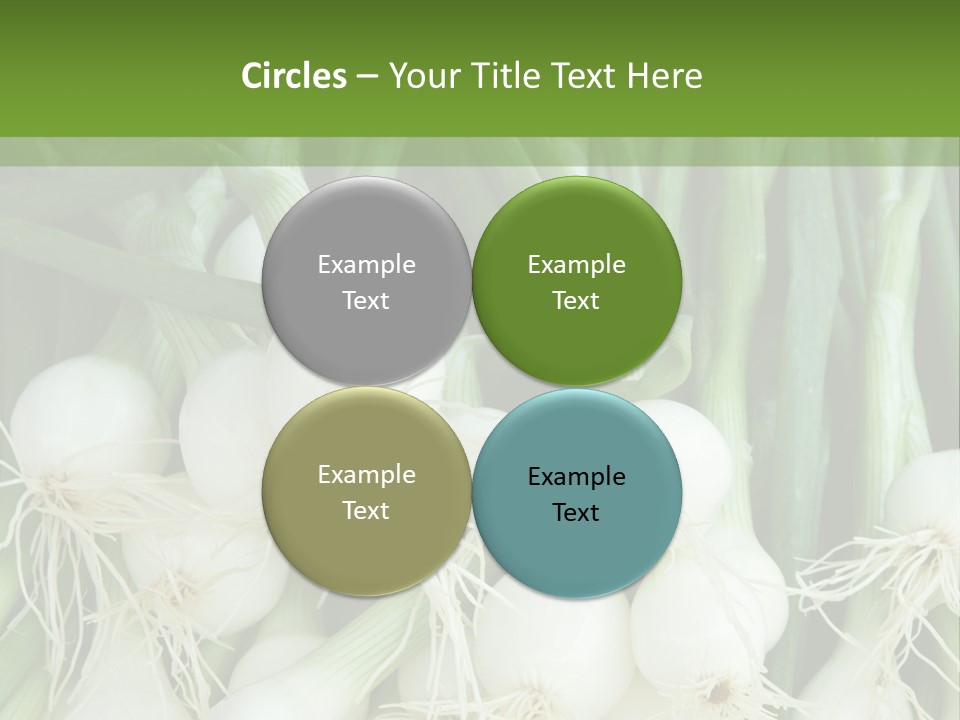 Photograph Onions With Stems Onions Close Up PowerPoint Template