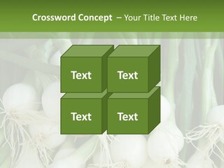 Photograph Onions With Stems Onions Close Up PowerPoint Template