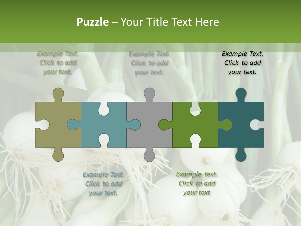 Photograph Onions With Stems Onions Close Up PowerPoint Template