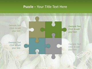 Photograph Onions With Stems Onions Close Up PowerPoint Template