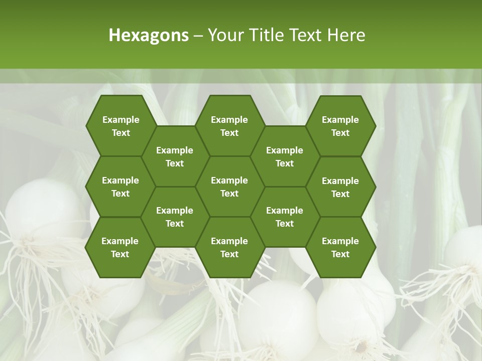Photograph Onions With Stems Onions Close Up PowerPoint Template