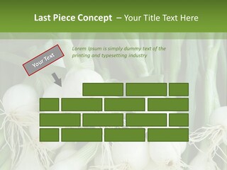 Photograph Onions With Stems Onions Close Up PowerPoint Template