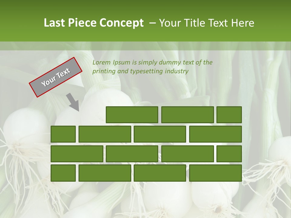 Photograph Onions With Stems Onions Close Up PowerPoint Template