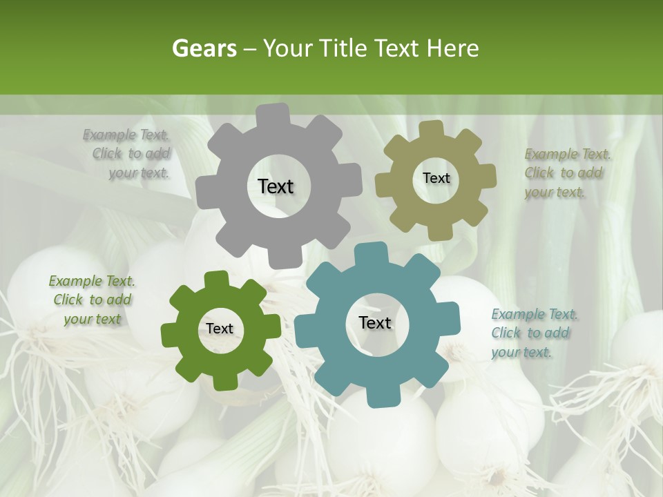 Photograph Onions With Stems Onions Close Up PowerPoint Template