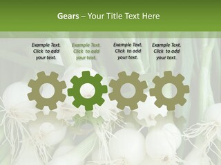 Photograph Onions With Stems Onions Close Up PowerPoint Template