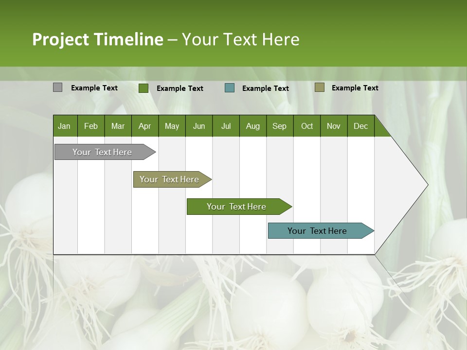 Photograph Onions With Stems Onions Close Up PowerPoint Template