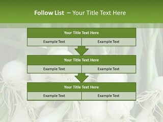 Photograph Onions With Stems Onions Close Up PowerPoint Template