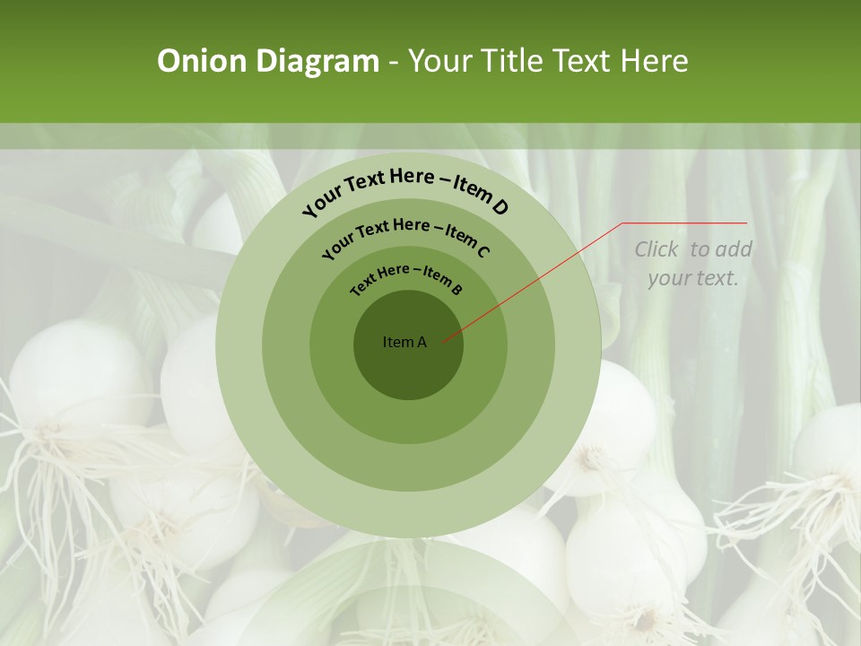 Photograph Onions With Stems Onions Close Up PowerPoint Template