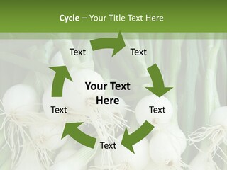 Photograph Onions With Stems Onions Close Up PowerPoint Template