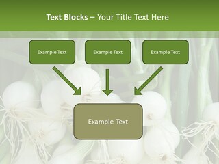 Photograph Onions With Stems Onions Close Up PowerPoint Template