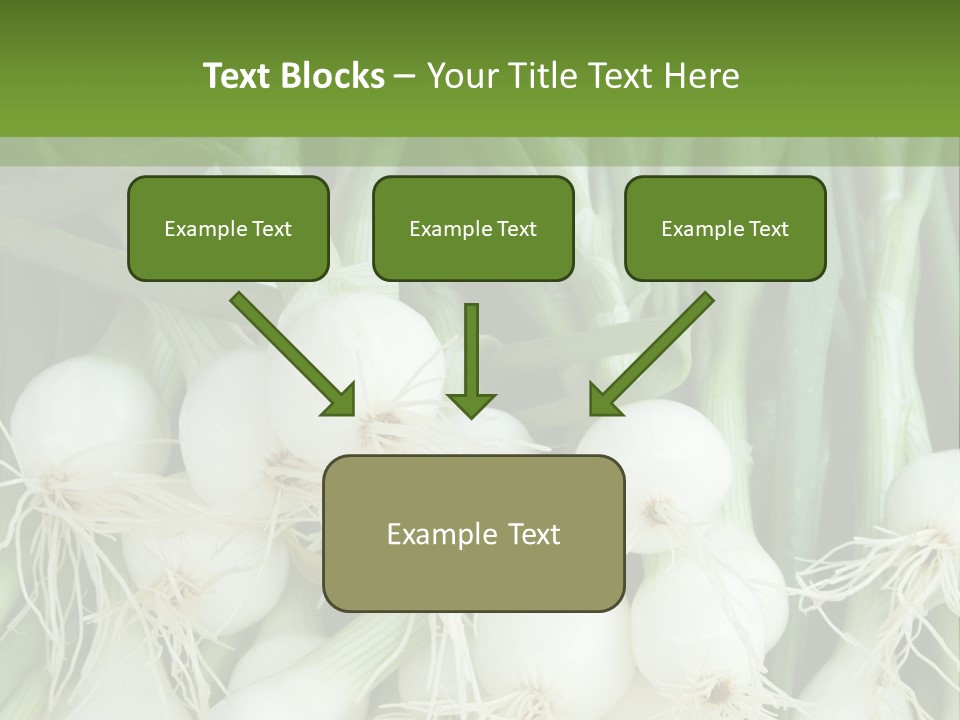 Photograph Onions With Stems Onions Close Up PowerPoint Template