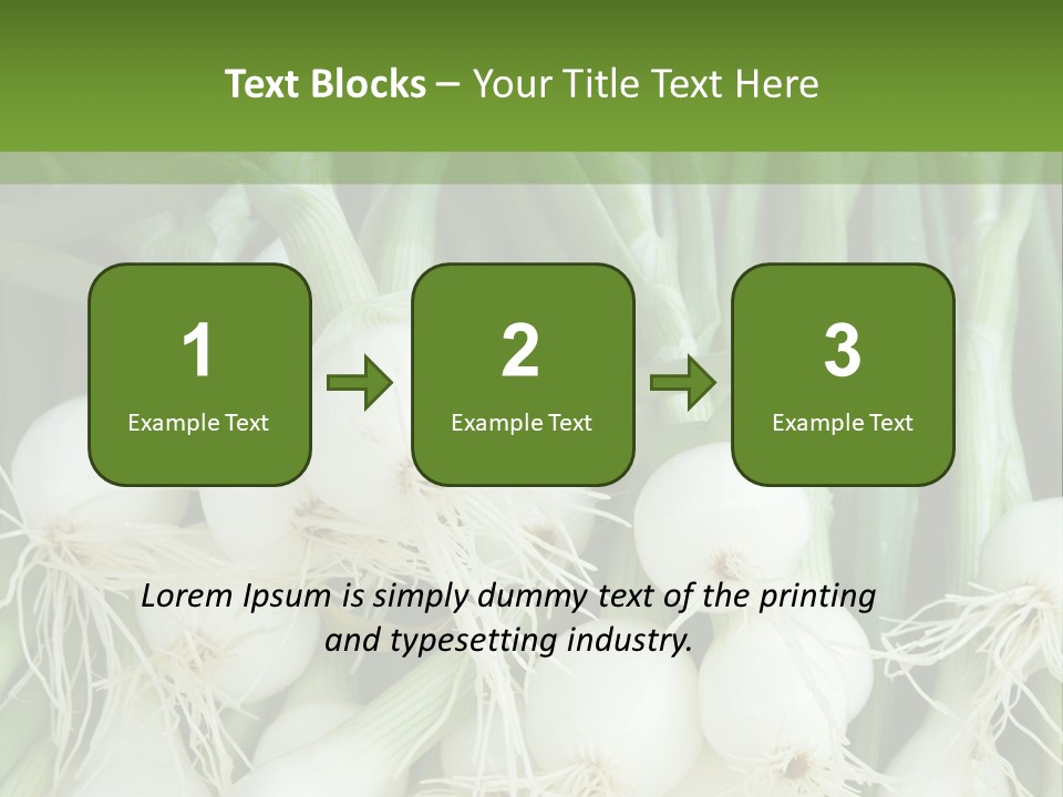 Photograph Onions With Stems Onions Close Up PowerPoint Template