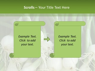 Photograph Onions With Stems Onions Close Up PowerPoint Template